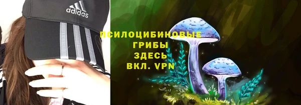 метамфетамин Каменногорск