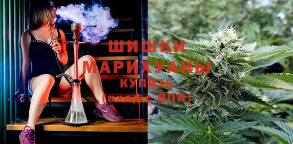 соль ск Инсар