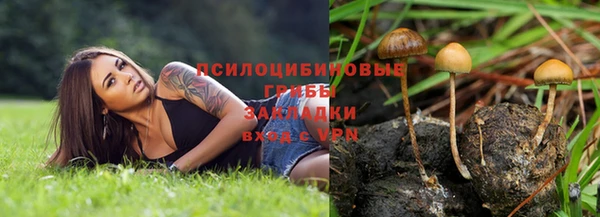 мяу мяу мука Домодедово