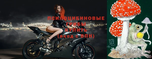 трава Каменка